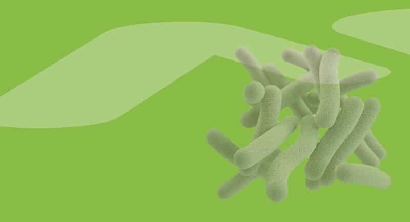 Biofilm en la industria alimentaria
