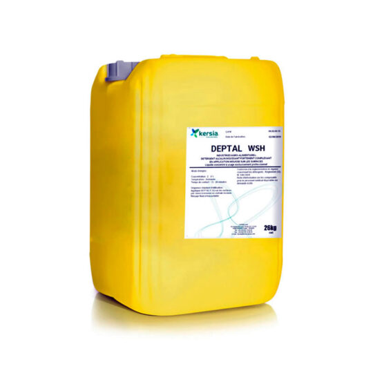Detergente - Deptal WSH