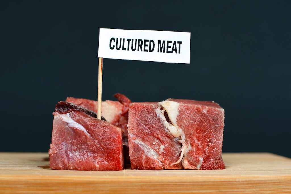 Cultured-Meat-Twitter